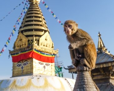 Nepal