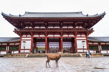 Todai-ji Japonia