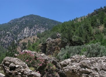 Wąwóz Samaria Kreta