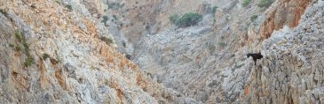 Wąwóz Samaria Kreta
