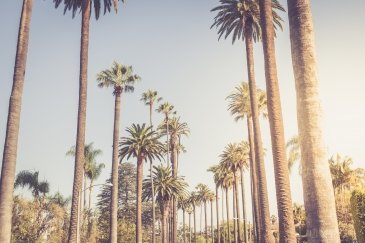 Los Angeles