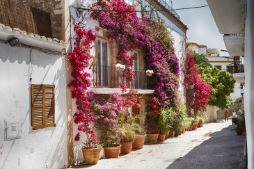 Ibiza