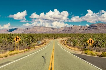 Joshua Tree National Park