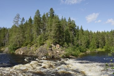 Oulanka National Park