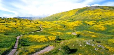 Park Narodowy Galicica