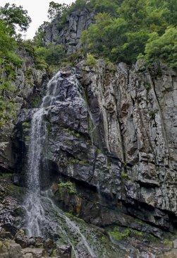 Boyana Waterfall