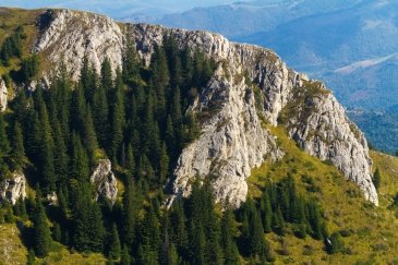 Kopaonik National Park