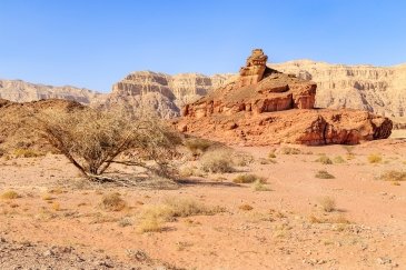 Timna Park