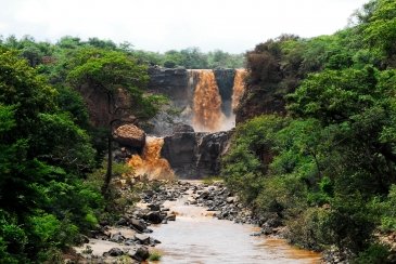 Awash National Park