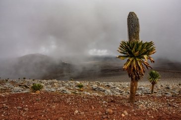 Bele Mountains National Park