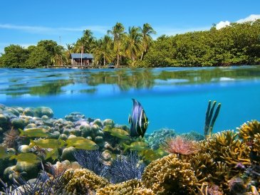 Bocas del Toro