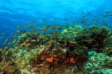 Coiba National Marine Park