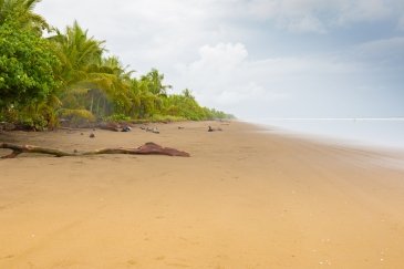 Las Lajas Beach