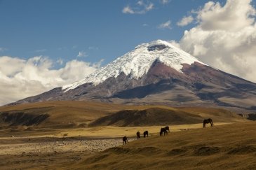 Cotopaxi