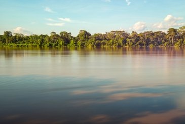 Cuyabeno Wildlife Reserve