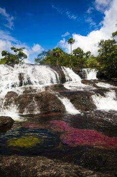 Cano Cristales