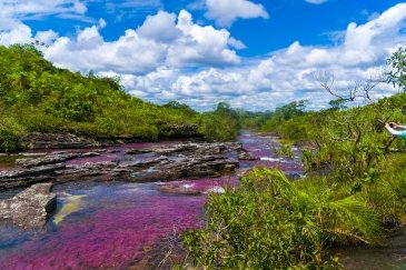 Cano Cristales