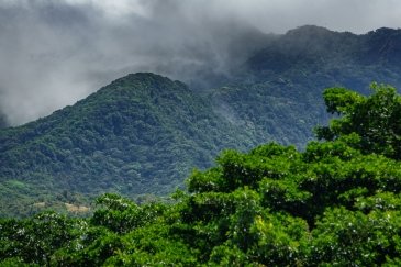 .Rincon de la Vieja