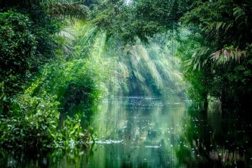 Tortuguero, Costa Rica