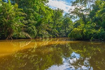 Tortuguero, Costa Rica