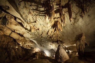 Gunung Mulu National Park