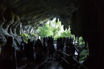 Gunung Mulu National Park