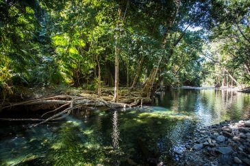 Daintree National Park