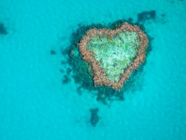 Great Barrier Reef Marine Park