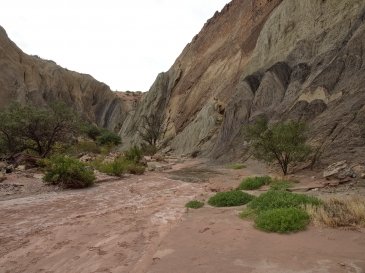 Talampaya National Park