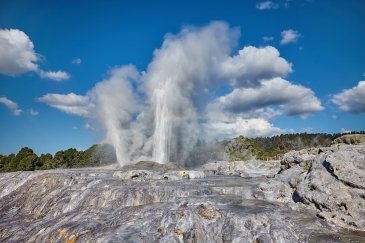 Pohutu Geyser Landscape