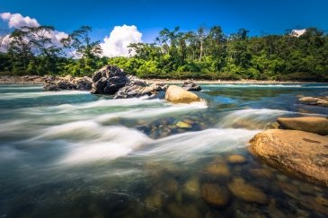 Manu National Park