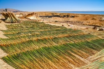 Lake Titicaca