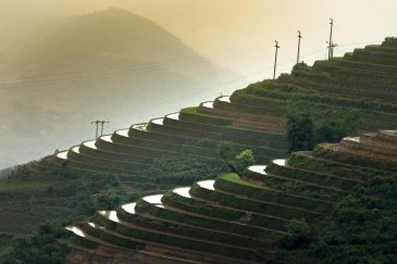 Sa Pa Terraces