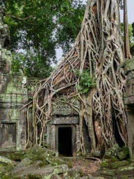 Angkor Wat