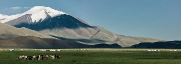 Tavan Bogd