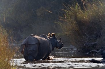 Chitwan National Park