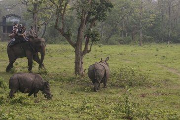 Chitwan National Park