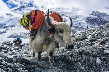 Sagarmatha National Park