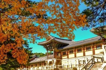 Bulguksa Temple