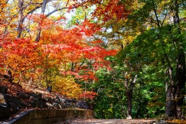 Huwon Secret Garden