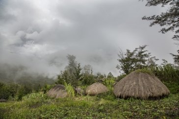 Baliem Valley