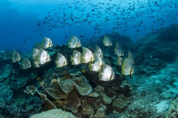 Bunaken, Bunaken Marine Park