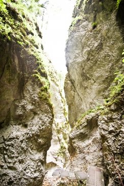 Sucha Bela gorge in Slovensky raj National Park