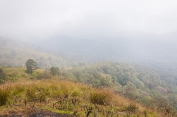 Park Narodowy Periyar , Indie