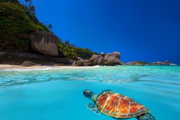 Similan Islands