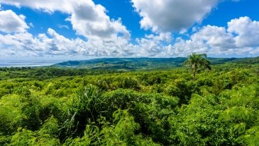 Barbados Wildlife Reserve