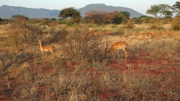 Maasai Mara National Reserve