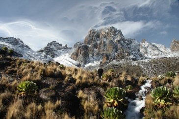Mount Kenia