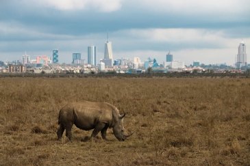 Nairobi National Park