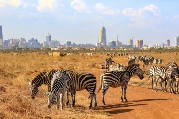 Nairobi National Park